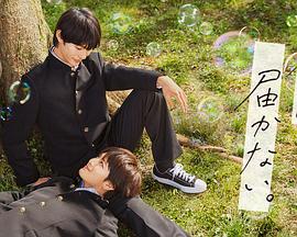 曰本黄色网站免费观看海报剧照